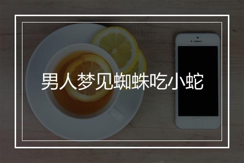 男人梦见蜘蛛吃小蛇