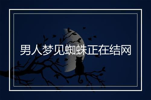 男人梦见蜘蛛正在结网