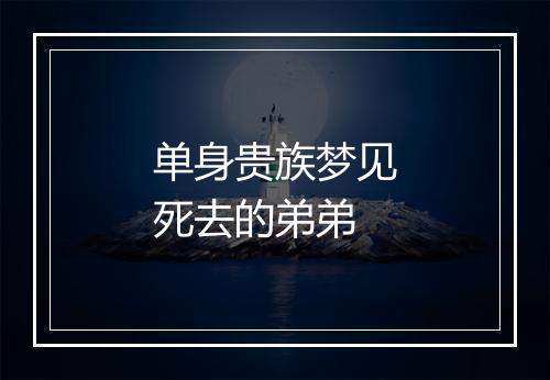 单身贵族梦见死去的弟弟