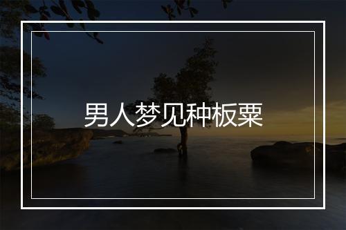 男人梦见种板粟