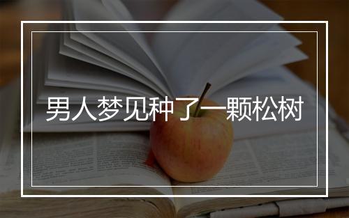 男人梦见种了一颗松树