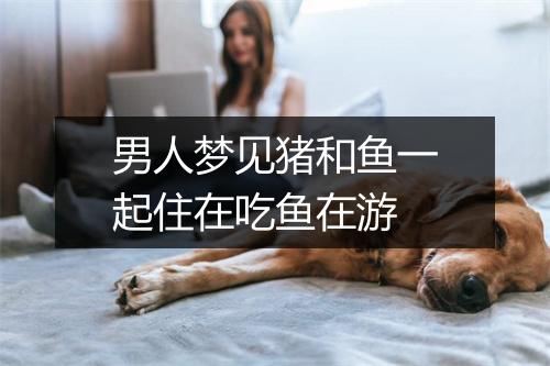 男人梦见猪和鱼一起住在吃鱼在游