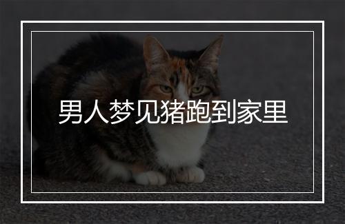 男人梦见猪跑到家里