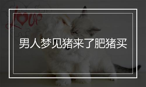 男人梦见猪来了肥猪买