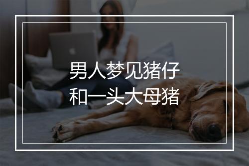 男人梦见猪仔和一头大母猪