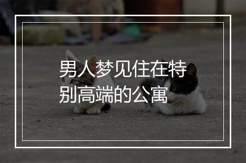 男人梦见住在特别高端的公寓