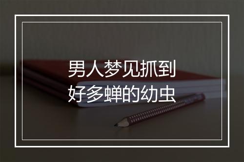 男人梦见抓到好多蝉的幼虫