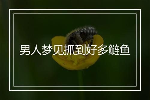 男人梦见抓到好多鲢鱼