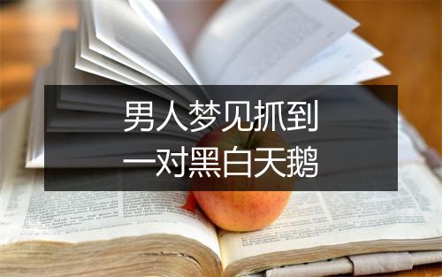 男人梦见抓到一对黑白天鹅