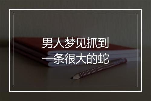 男人梦见抓到一条很大的蛇