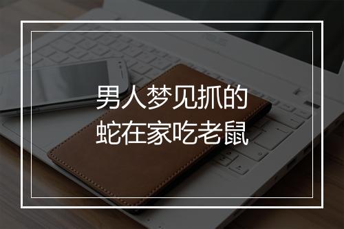 男人梦见抓的蛇在家吃老鼠