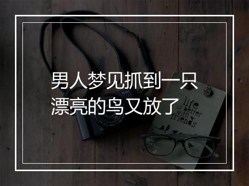 男人梦见抓到一只漂亮的鸟又放了