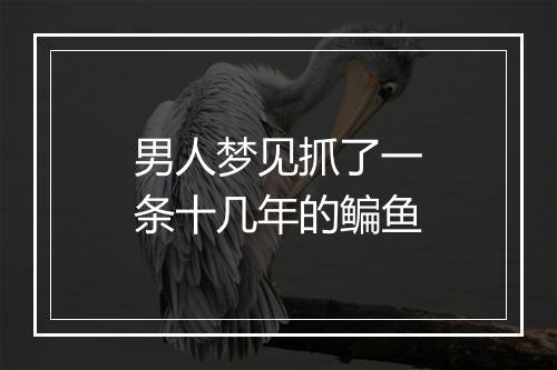 男人梦见抓了一条十几年的鳊鱼