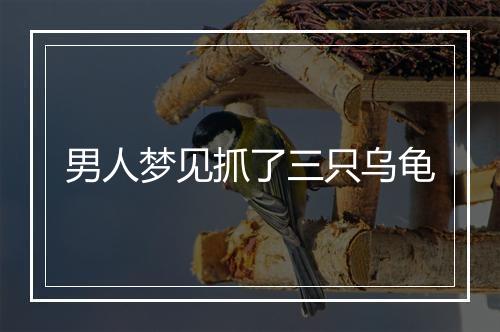 男人梦见抓了三只乌龟