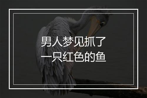 男人梦见抓了一只红色的鱼