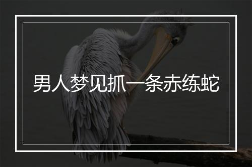 男人梦见抓一条赤练蛇