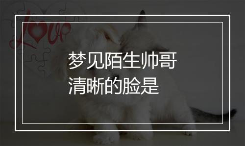 梦见陌生帅哥清晰的脸是