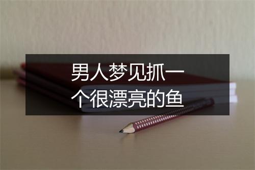 男人梦见抓一个很漂亮的鱼