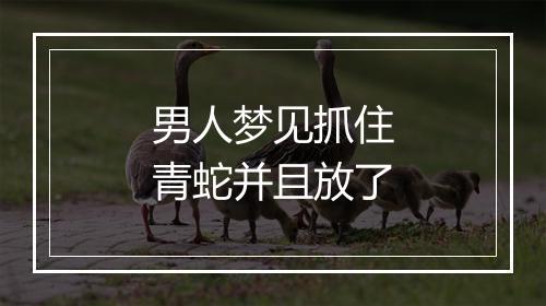 男人梦见抓住青蛇并且放了