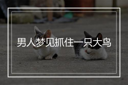 男人梦见抓住一只大鸟