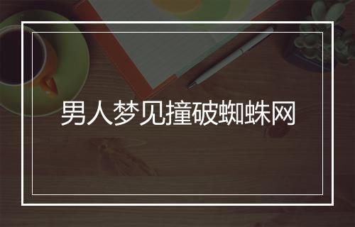 男人梦见撞破蜘蛛网