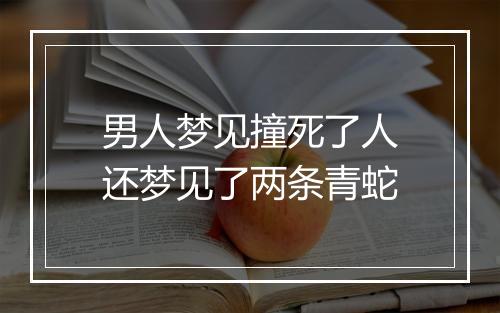 男人梦见撞死了人还梦见了两条青蛇