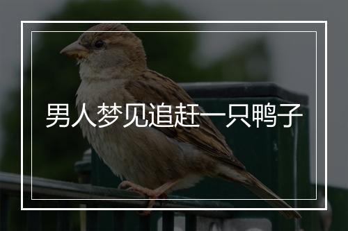 男人梦见追赶一只鸭子