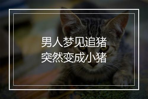 男人梦见追猪突然变成小猪