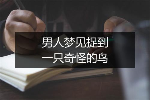 男人梦见捉到一只奇怪的鸟