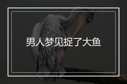 男人梦见捉了大鱼