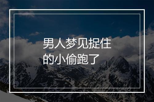 男人梦见捉住的小偷跑了