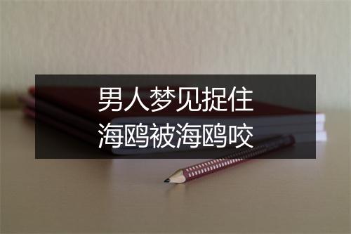 男人梦见捉住海鸥被海鸥咬