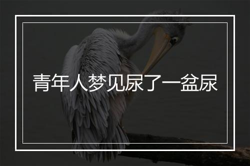 青年人梦见尿了一盆尿