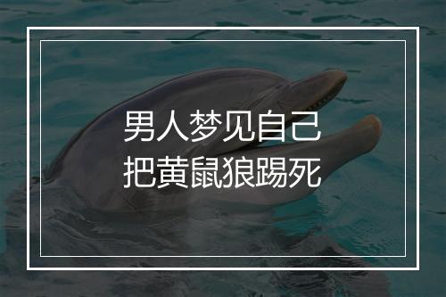 男人梦见自己把黄鼠狼踢死