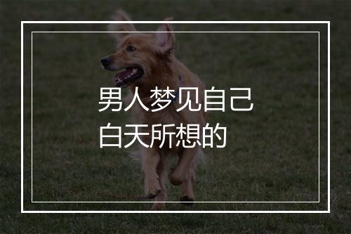 男人梦见自己白天所想的