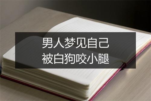 男人梦见自己被白狗咬小腿