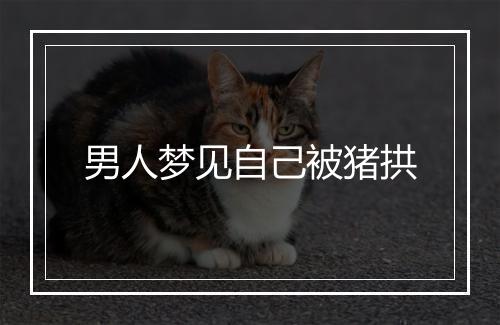 男人梦见自己被猪拱