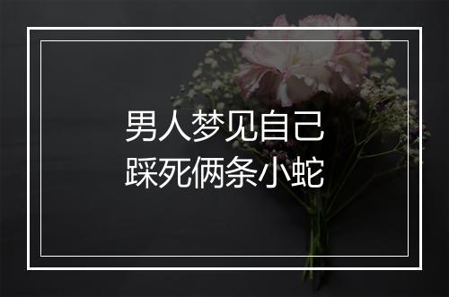 男人梦见自己踩死俩条小蛇