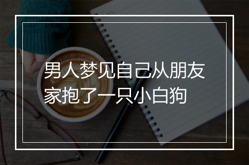 男人梦见自己从朋友家抱了一只小白狗