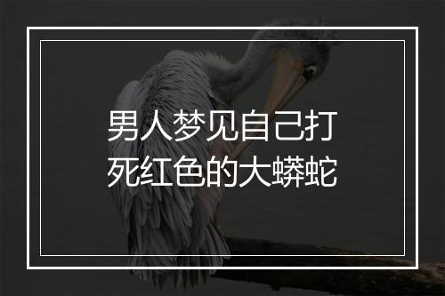 男人梦见自己打死红色的大蟒蛇