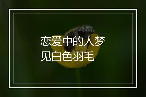 恋爱中的人梦见白色羽毛