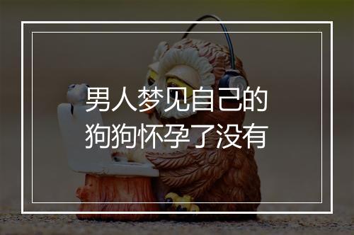 男人梦见自己的狗狗怀孕了没有