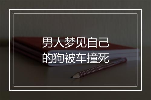 男人梦见自己的狗被车撞死