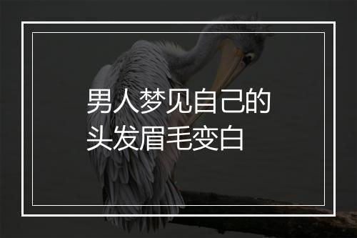 男人梦见自己的头发眉毛变白