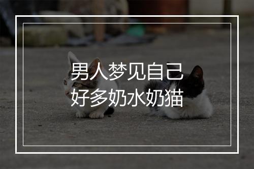 男人梦见自己好多奶水奶猫