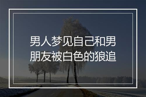 男人梦见自己和男朋友被白色的狼追