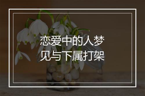 恋爱中的人梦见与下属打架