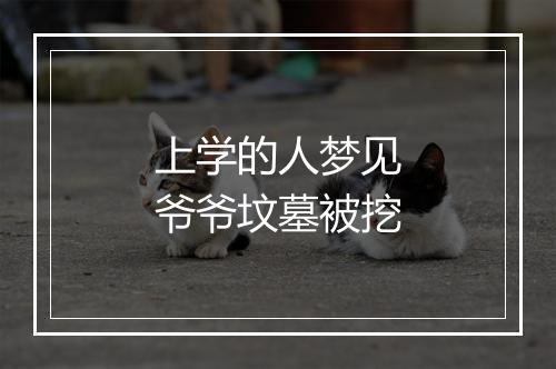 上学的人梦见爷爷坟墓被挖