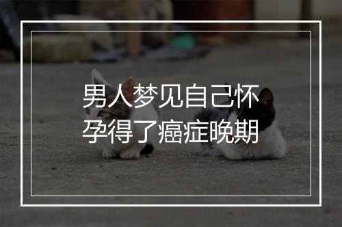 男人梦见自己怀孕得了癌症晚期