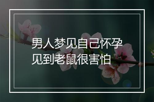 男人梦见自己怀孕见到老鼠很害怕